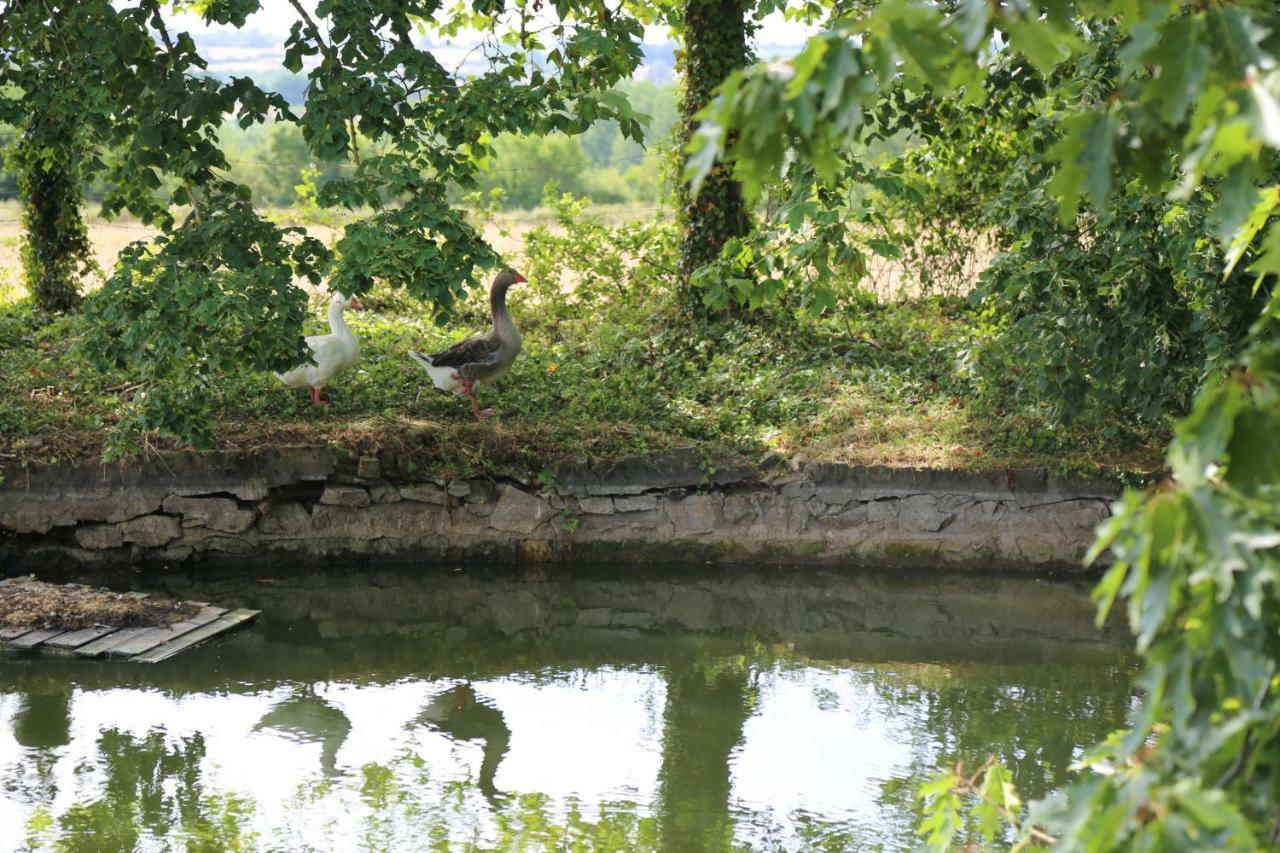 Chateau De La Frogerie Maulevrier Luaran gambar